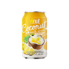 VINUT COCONUT WITH PINEAPPLE MILK DRINK 33CL